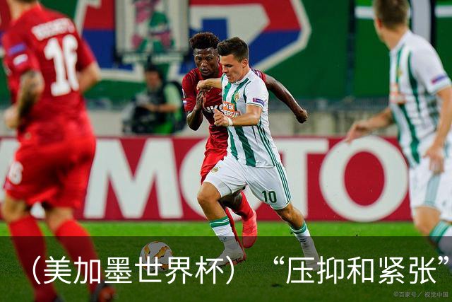 （美加墨世界杯）“压抑和紧张”中的伊朗队首秀
