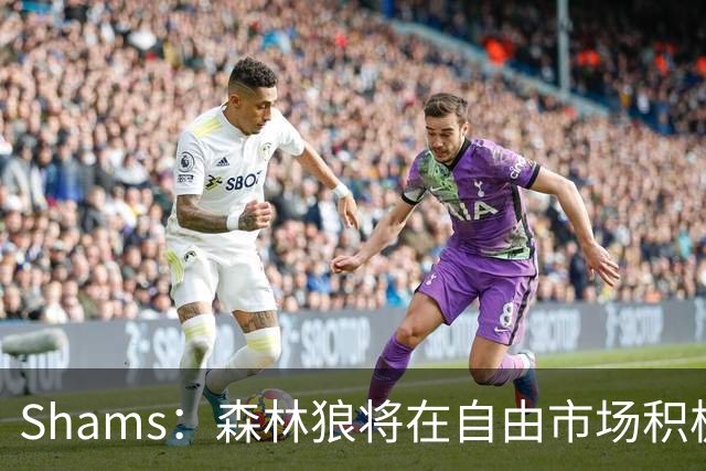 Shams：森林狼将在自由市场积极补强4号位 但他们只能提供底薪